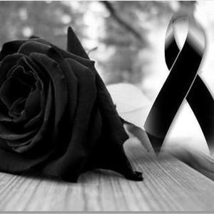 Meet your Posher, Yynolvidable